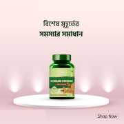 Korean Ginseng Powder -100gm (3)
